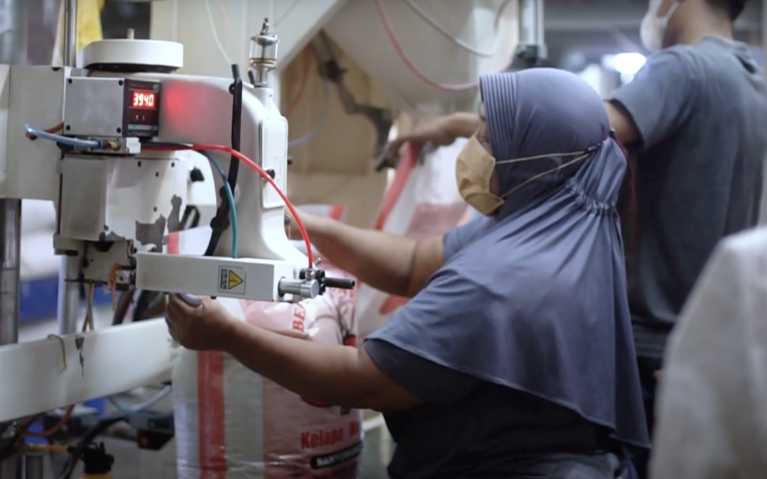 Proses Produksi Beras Banyuwangi Alami dan Berkualitas dari Penanaman hingga Pengemasan